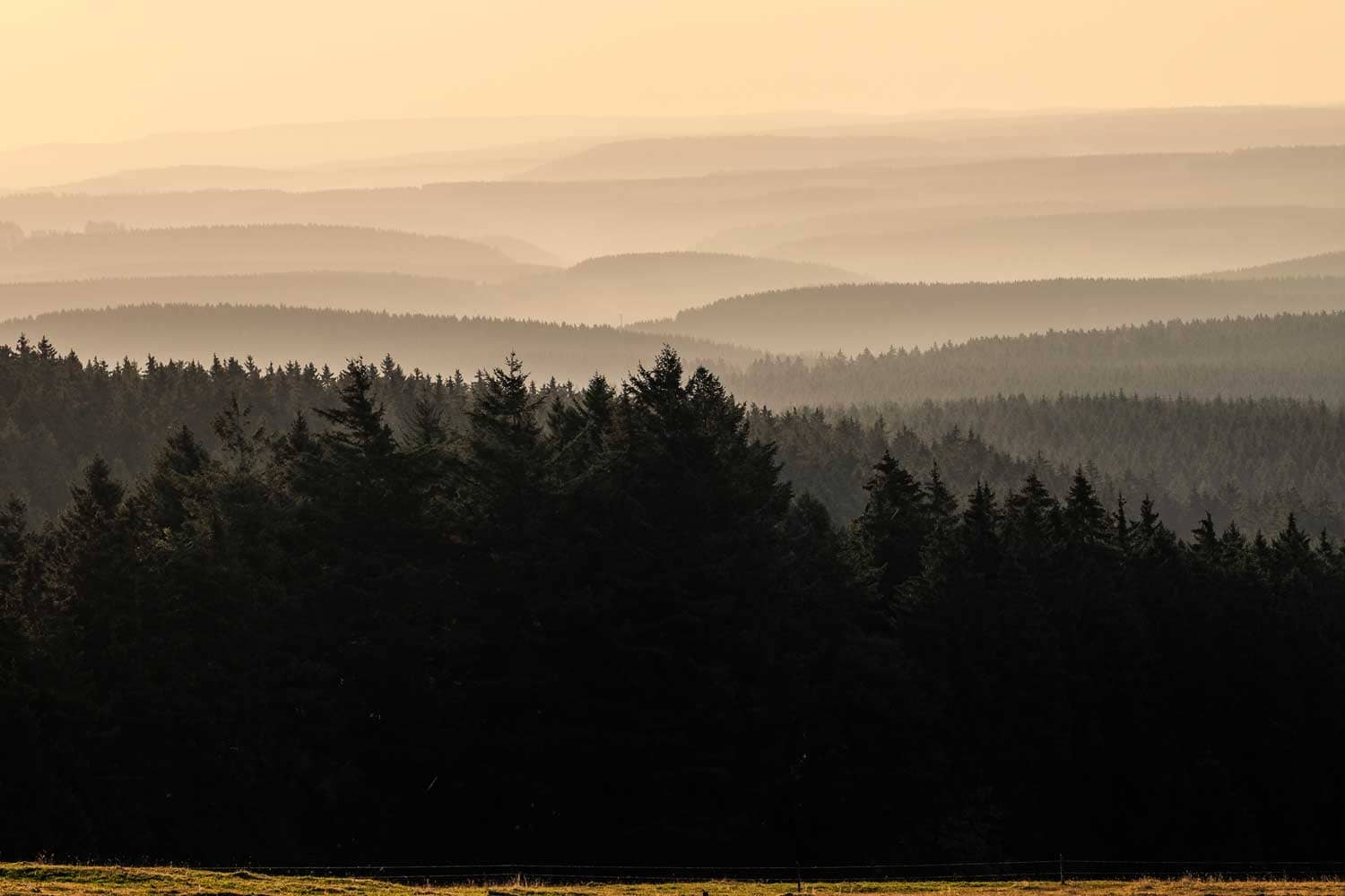 Aussicht Quesenbank