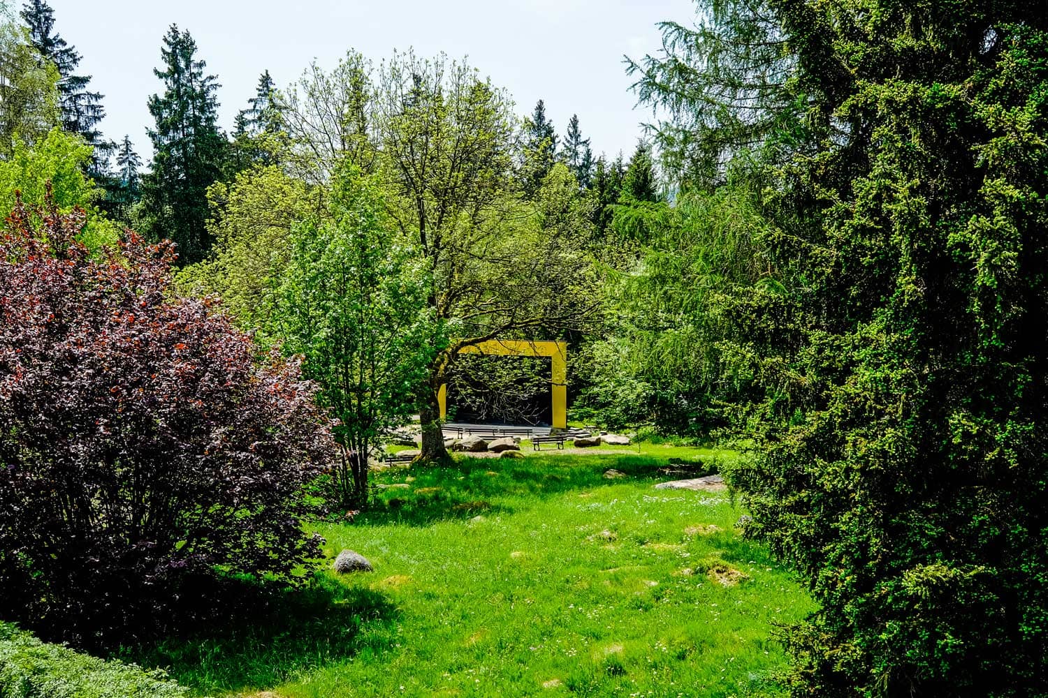 Kurpark Schierke 4