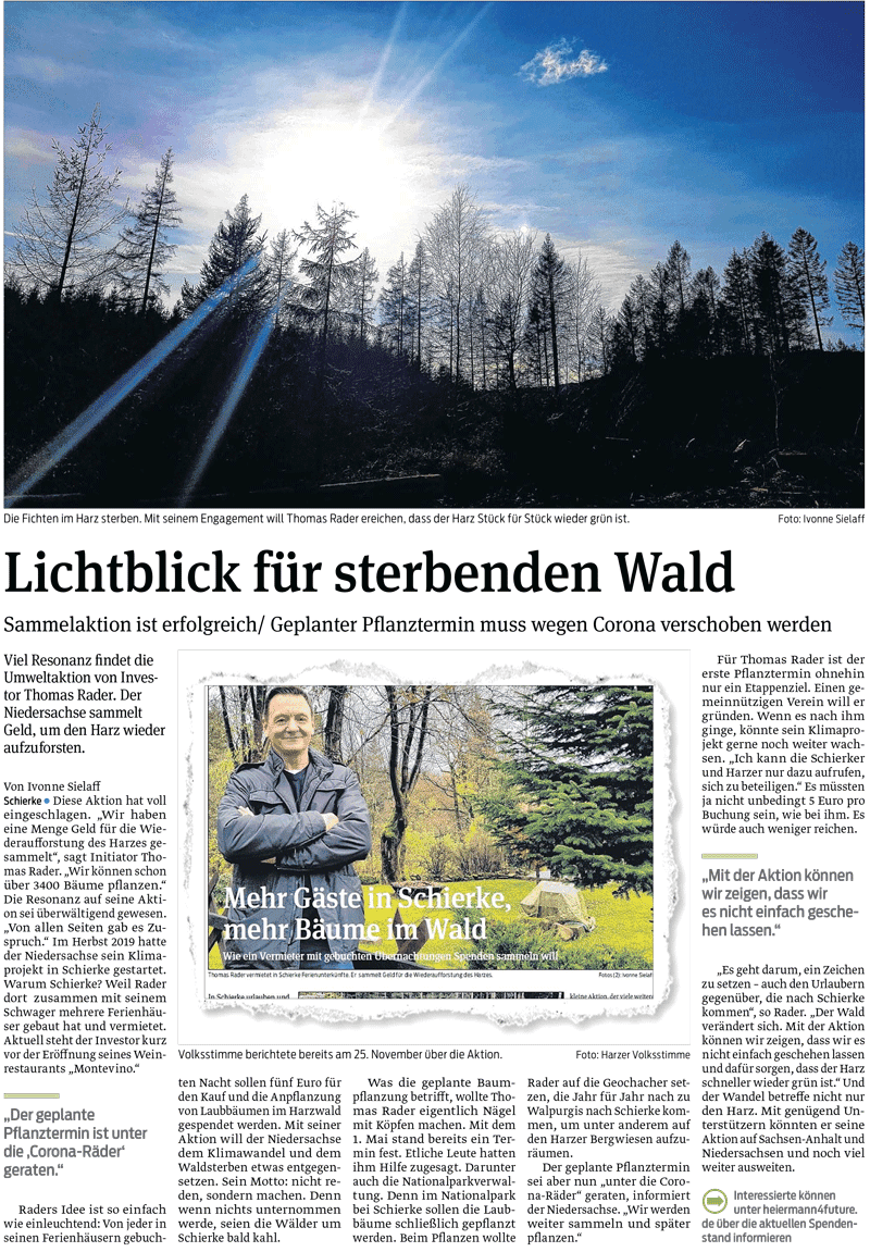 Lichtblick für den sterbenden Wald – Projekt #heiermann4future